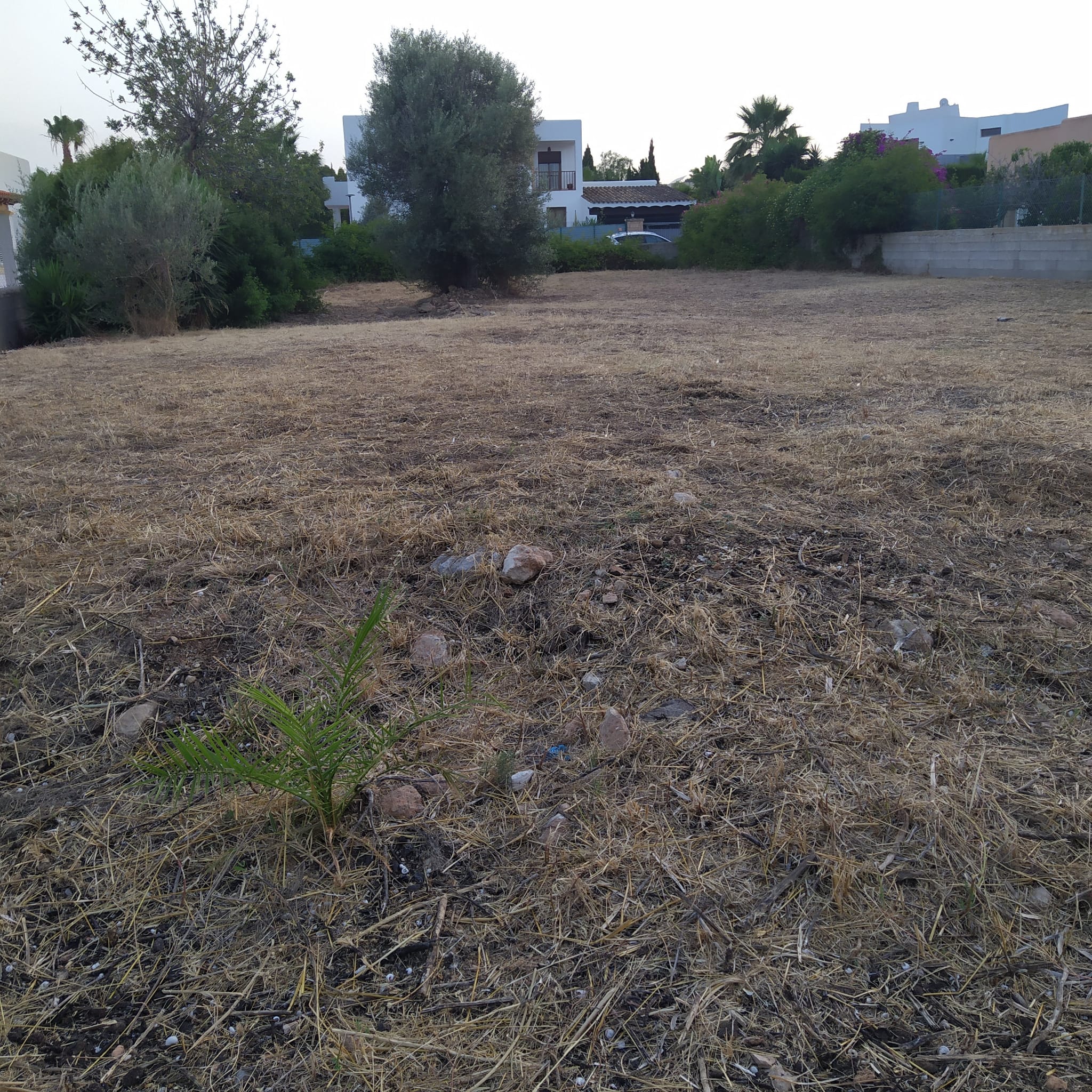 Terreno construible (urbanizado) para casa unifamiliar en San Jordi