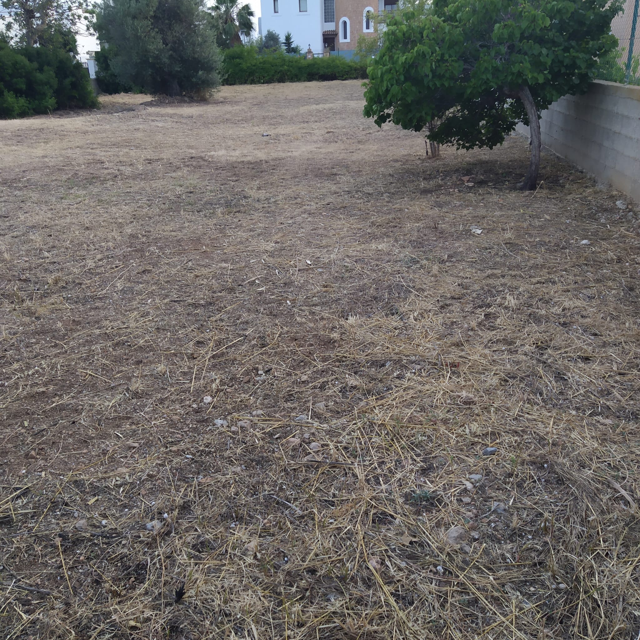 Terreno construible (urbanizado) para casa unifamiliar en San Jordi