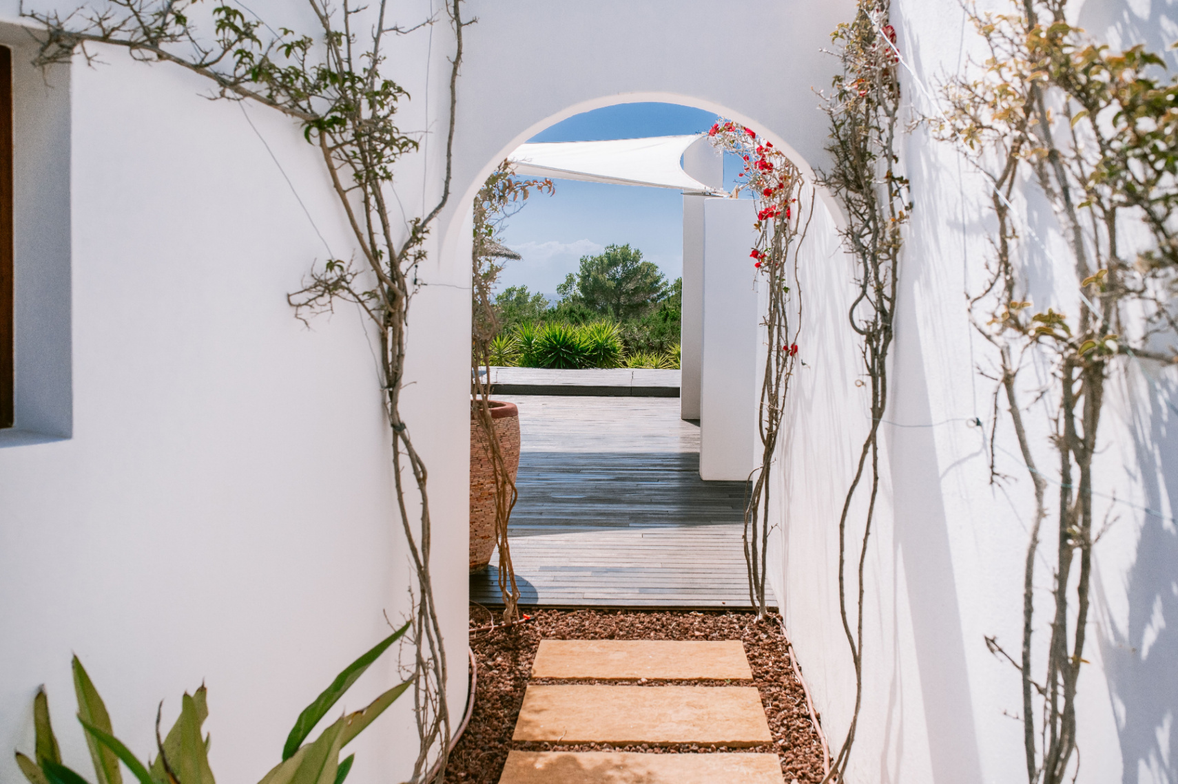 Exclusiva residencia en Cala Carbó con vistas infinitas al mar y un impresionante jardín 
