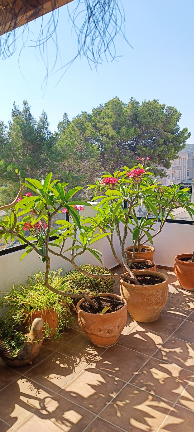 Charmant appartement mansardé au cœur de San Miguel – avec vue sur l'église