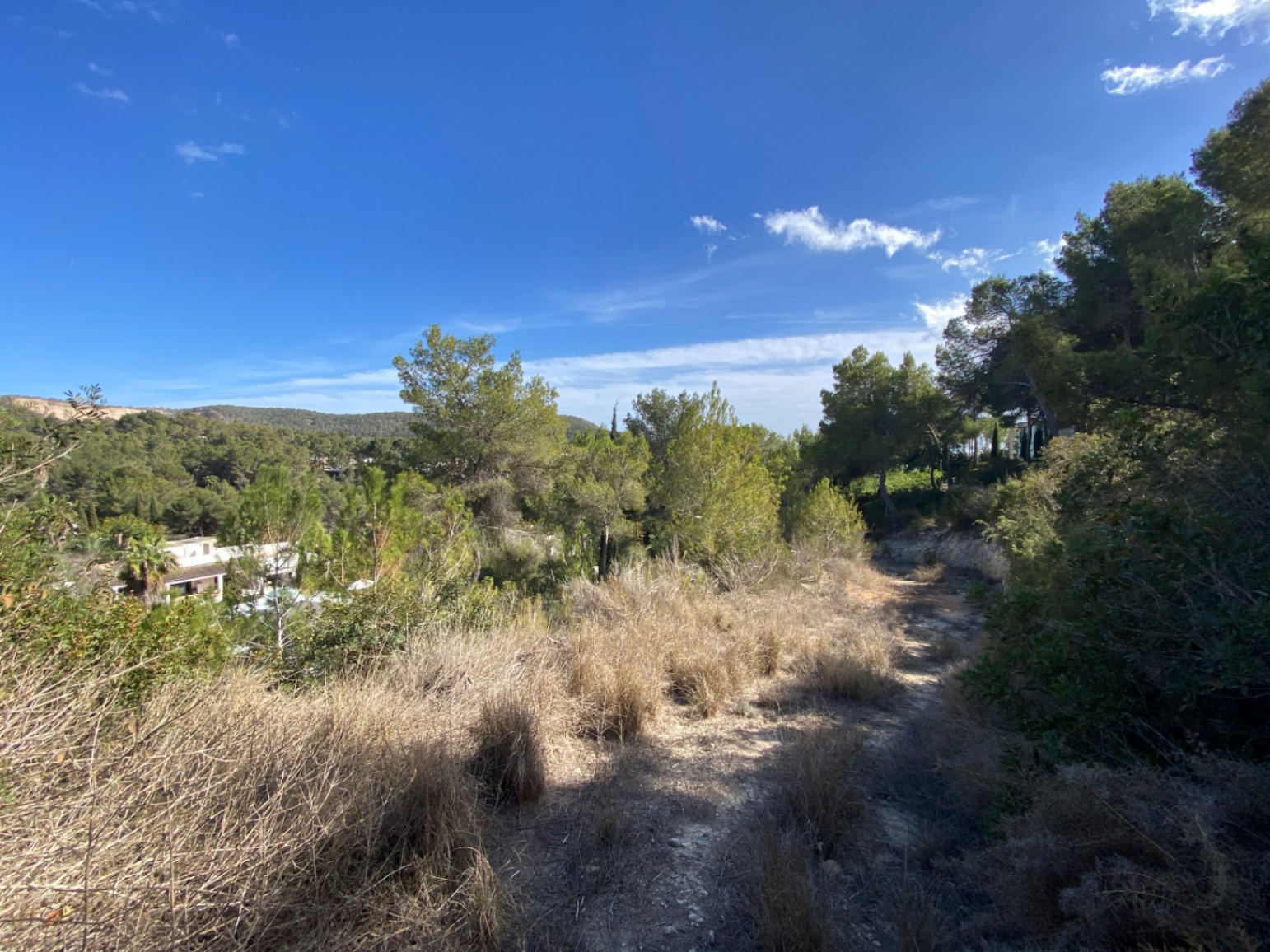 Gran terreno ubicado en la urbanización de Can Furnet