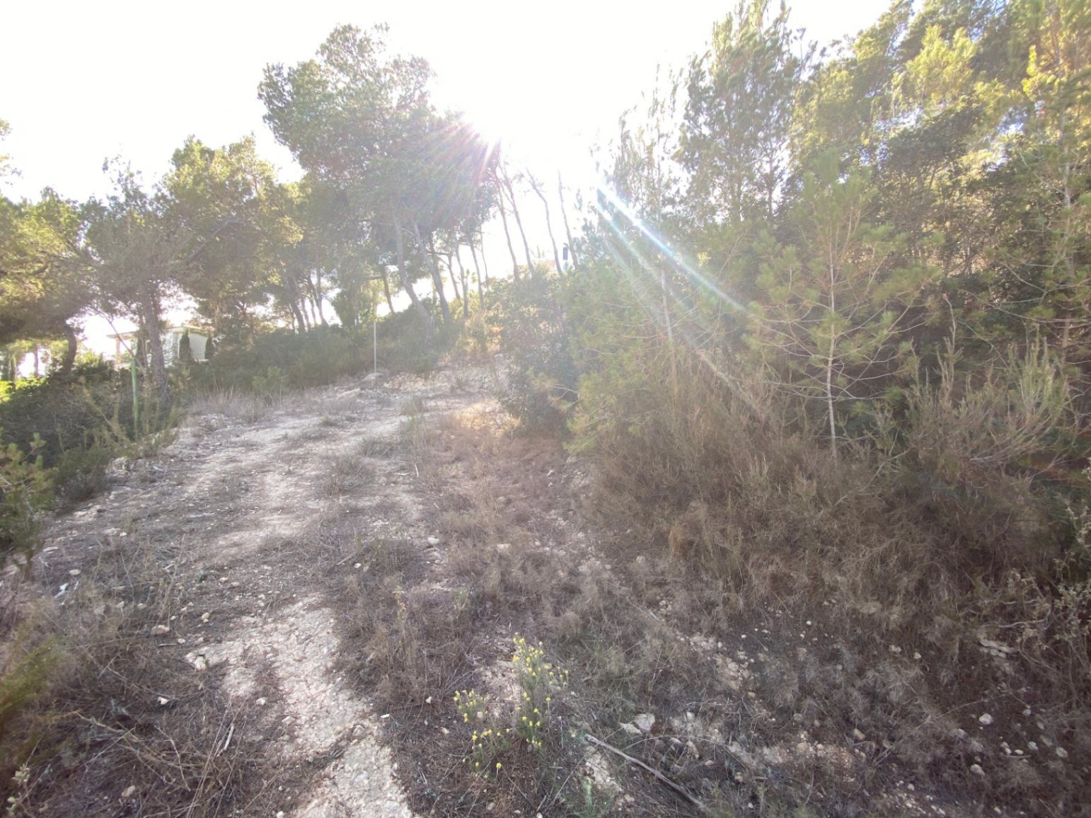 Gran terreno ubicado en la urbanización de Can Furnet
