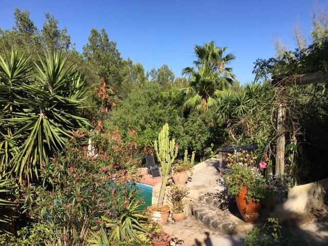 Casa con jardin precioso en San Jose